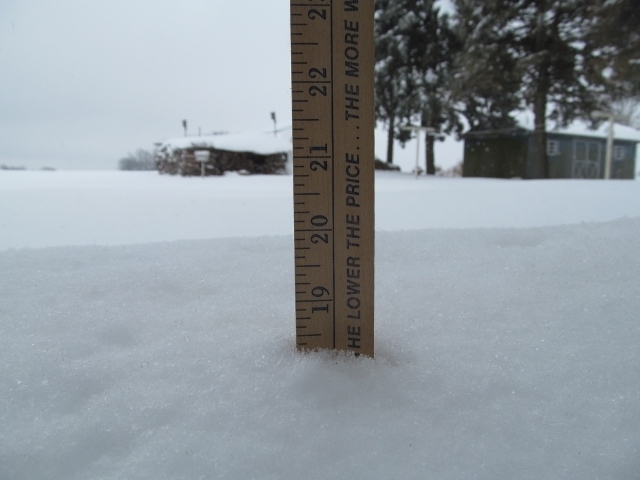 IMG_2440 (640x480).jpg