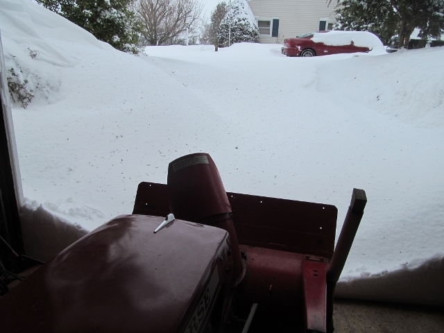 IMG_2441 (640x480).jpg