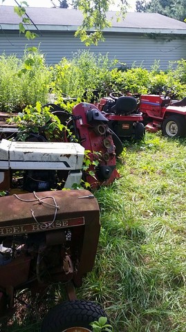 Snapchat-7720778887336357668 (1).jpeg