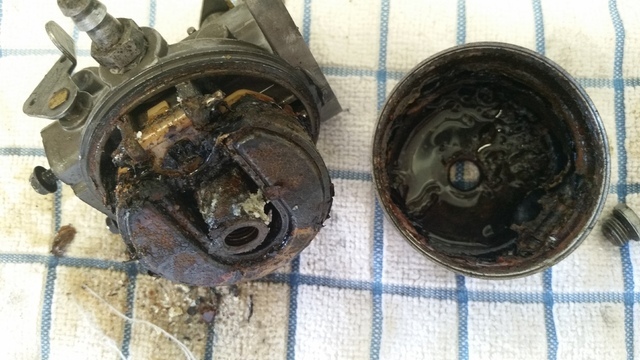 Walbro Dirty Carb.jpg