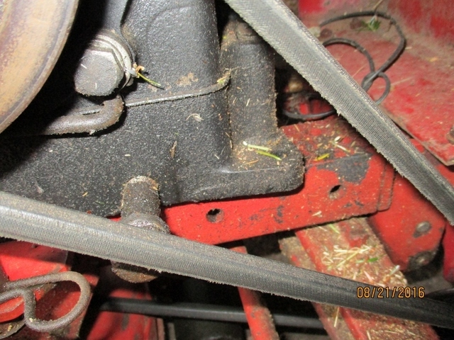 IMG_0838 (800x600).jpg