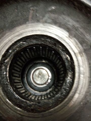 IMG_20160904_124125 (2).jpg