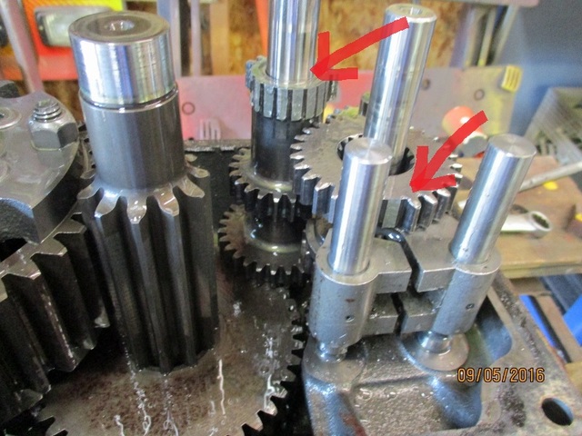 IMG_0876 (800x600).jpg