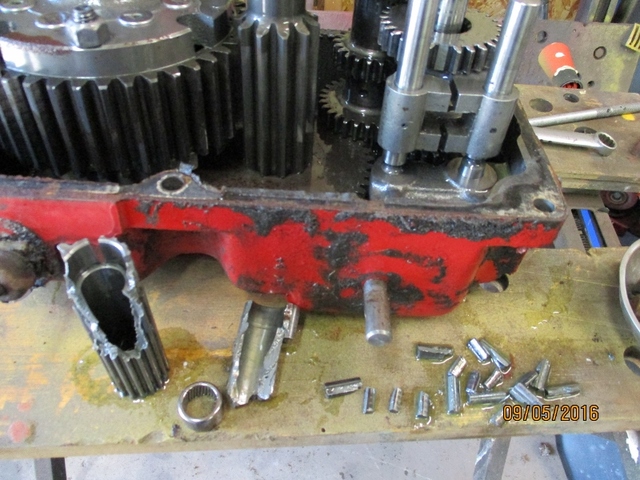 IMG_0878 (800x600).jpg