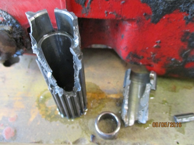 IMG_0879 (800x600).jpg