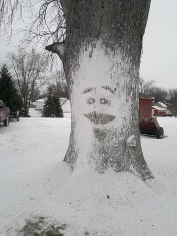 tree smile.jpg