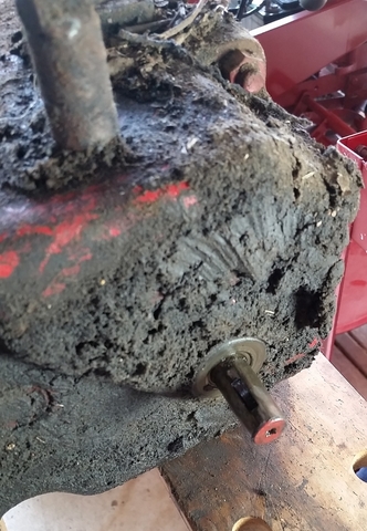 Tran Input before.jpg