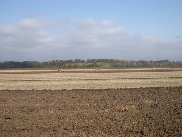 2016-10-30 11.25.30.jpg