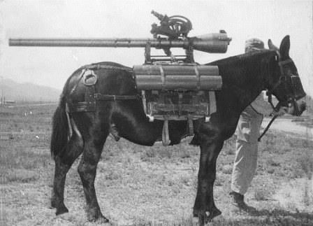military-mule1.jpg
