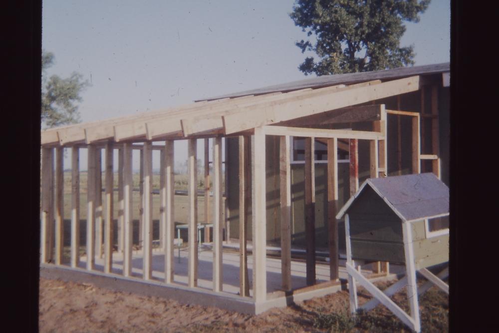 Dad Stertz Slides II 1975-1984 120.JPG