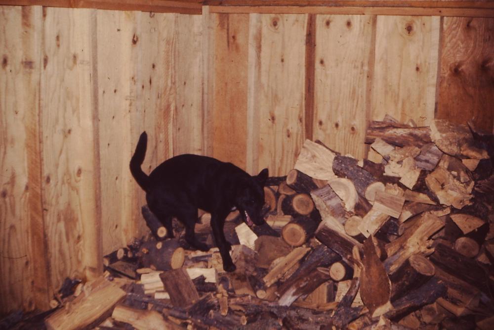 Dad Stertz Slides II 1975-1984 036.JPG