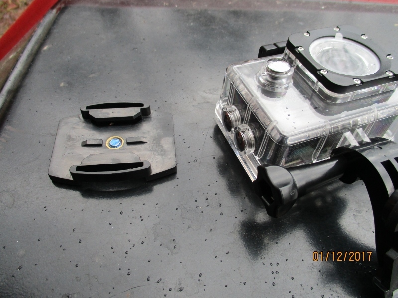 IMG_1000 (800x600).jpg