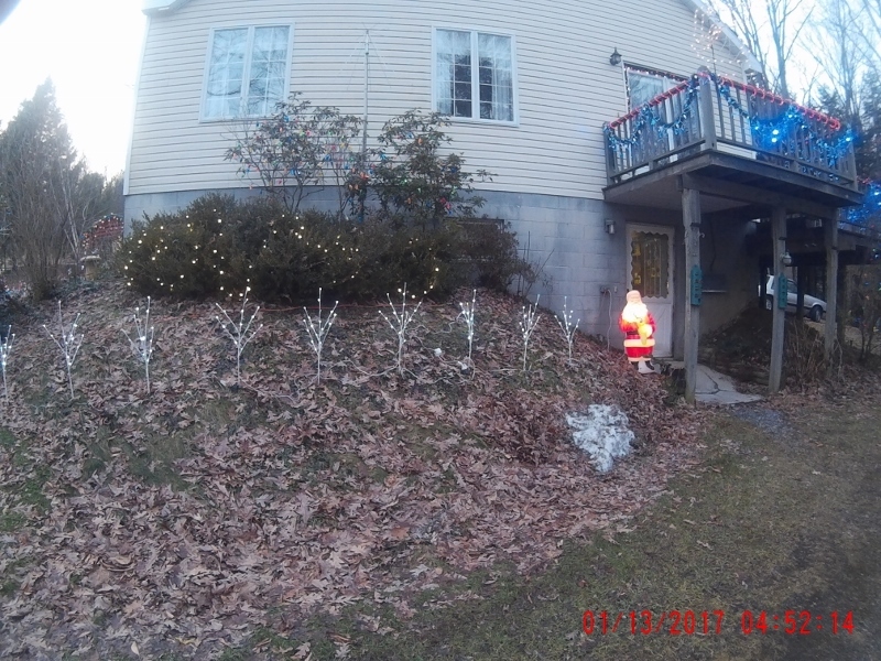 2017_0113_045215_006 (800x600).jpg