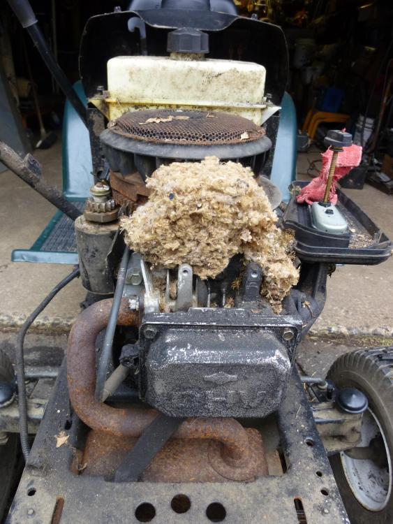 Craftsman 14.5 - Mattson (3).JPG