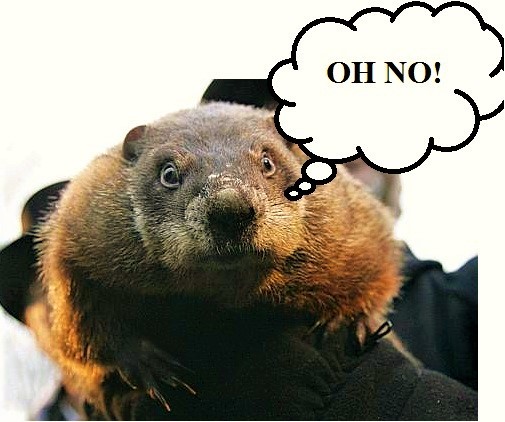 Punxsutawney Phil .jpg