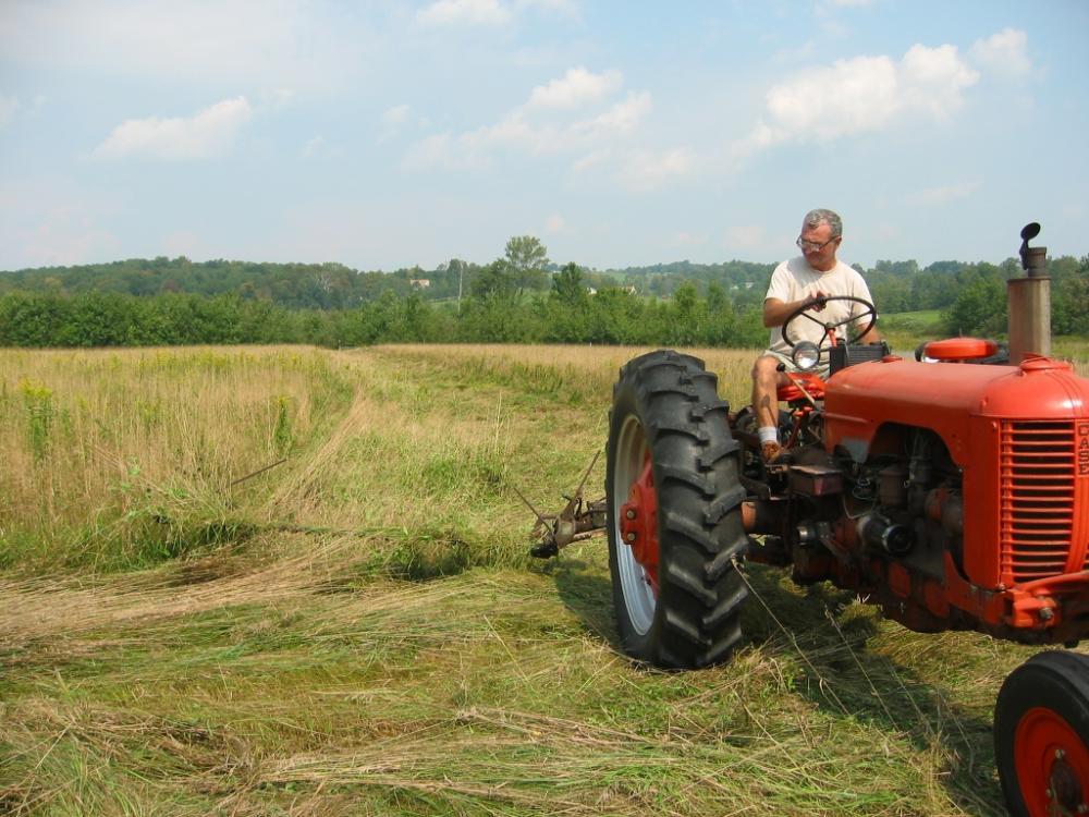 IMG_2417a (1024x768).jpg