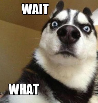 wait_what.jpg.338d64846df119cb2e70333ffe54f1d6.jpg