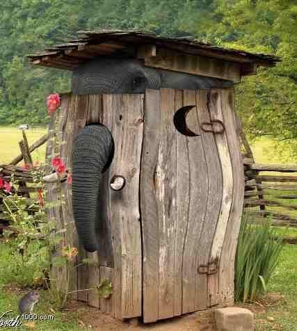 1af2167b4b71a301049f2f0b72e6eee9--outhouse-ideas-funny-p.jpg.e18e0c8839a92530b90b33a21b55df82.jpg