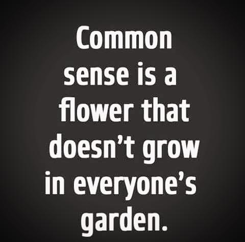 5a9acfc416b48_ComonSence.jpg.4648a45be3423ea1487dede9a2e1c04a.jpg