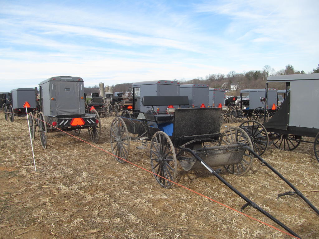 2018 Airville, Pa. Mud Sale General Shows and events RedSquare