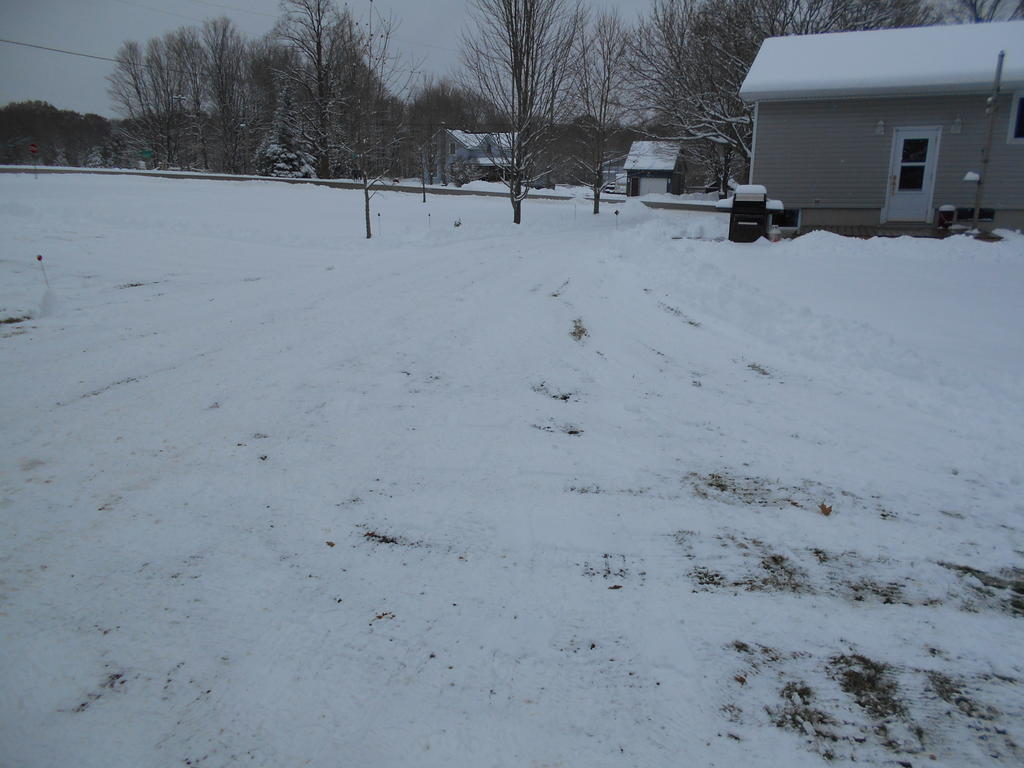 1934091366_Driveway1.JPG.0e1a0dd9e3f1f4de611889003fb47515.JPG