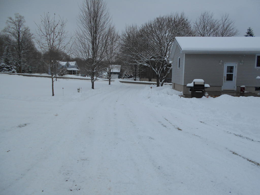 522471507_Driveway2.JPG.9d5e22139a4121e4ec83411f98fb0c5c.JPG