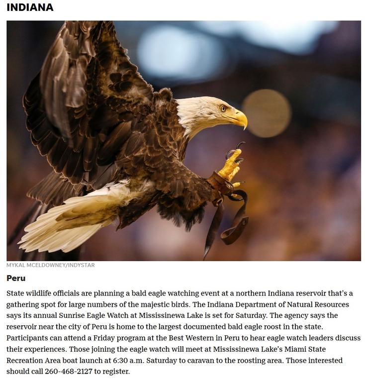 1232291540_IndianaEaglesScreenshot_2019-01-09Newsfromaroundour50States.jpg.f6f067ae1f4a5028ca0fa5bdfe2e9224.jpg