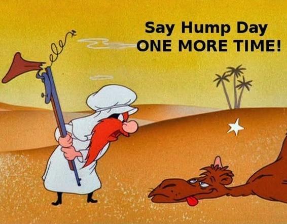Happy-Hump-day-today.jpg.09f84bf1dcd01355520fc6210510c044.jpg