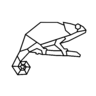 ChameleonTechServices