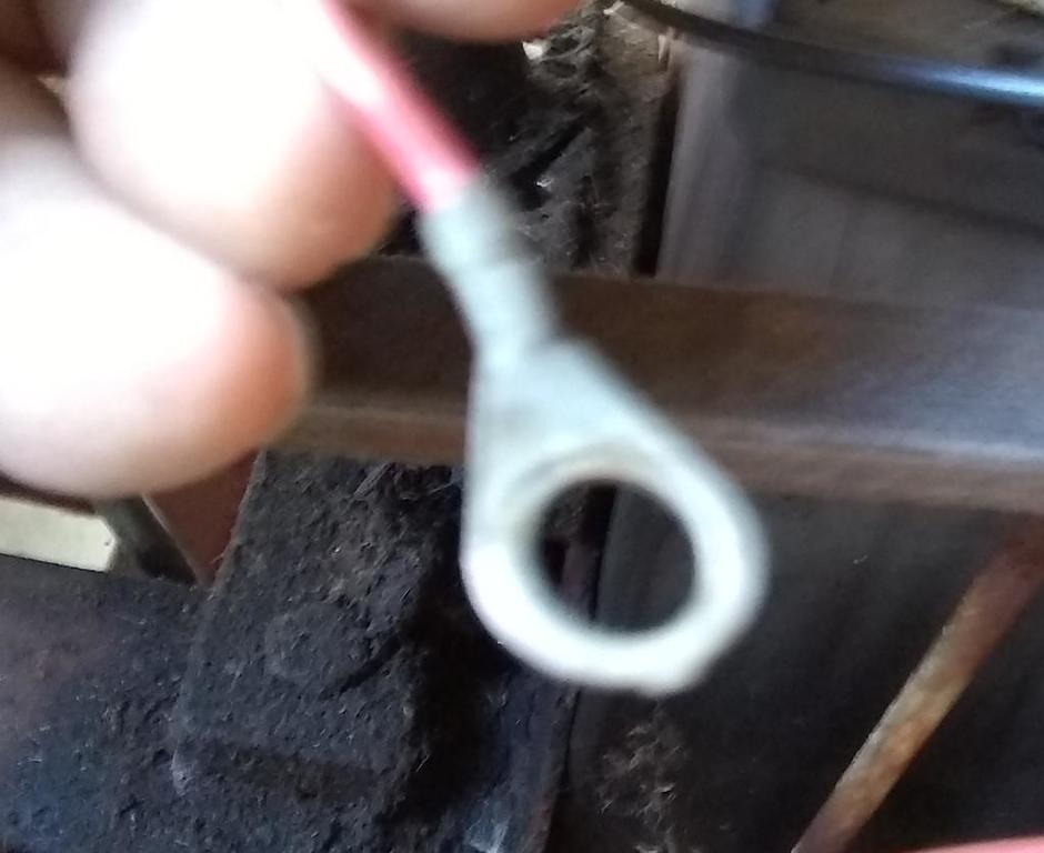 IMG_20190703_111900521_BURST000_COVER (2).jpg