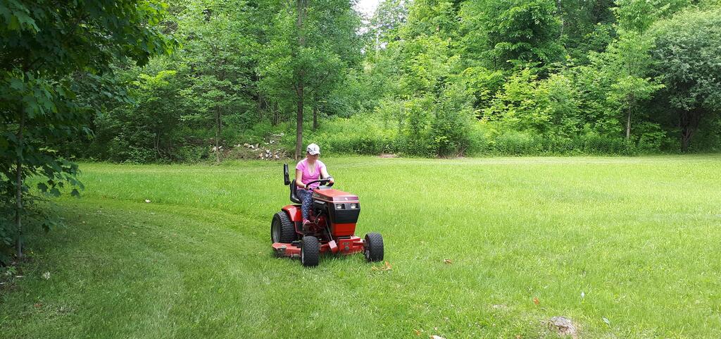1126639164_baileymowing1.jpg.b83c0f5c13c3ea80317d8c2166ffb573.jpg