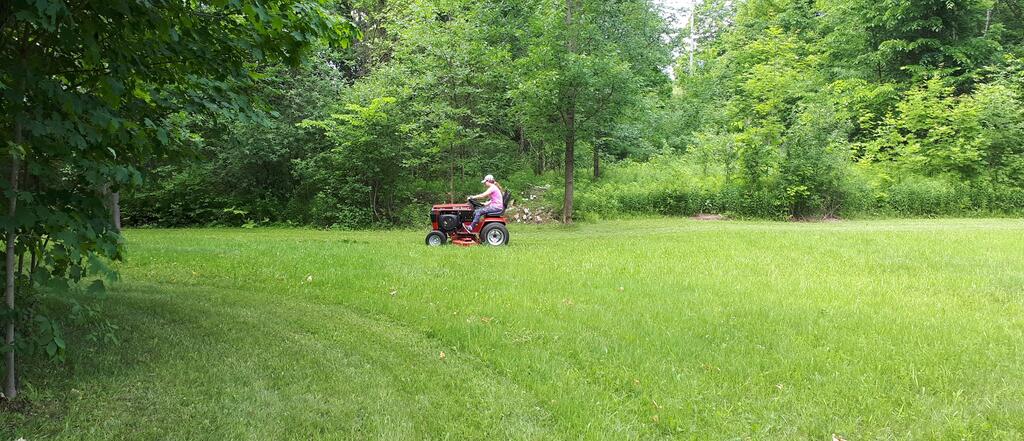 1766046188_baileymowing2.jpg.d467267f8d281dc4581b23d4337a9ebb.jpg