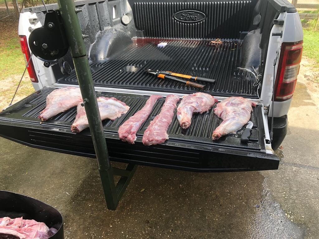 butchered.jpg.9a361b536490d70e618f8f12b0a1eb53.jpg
