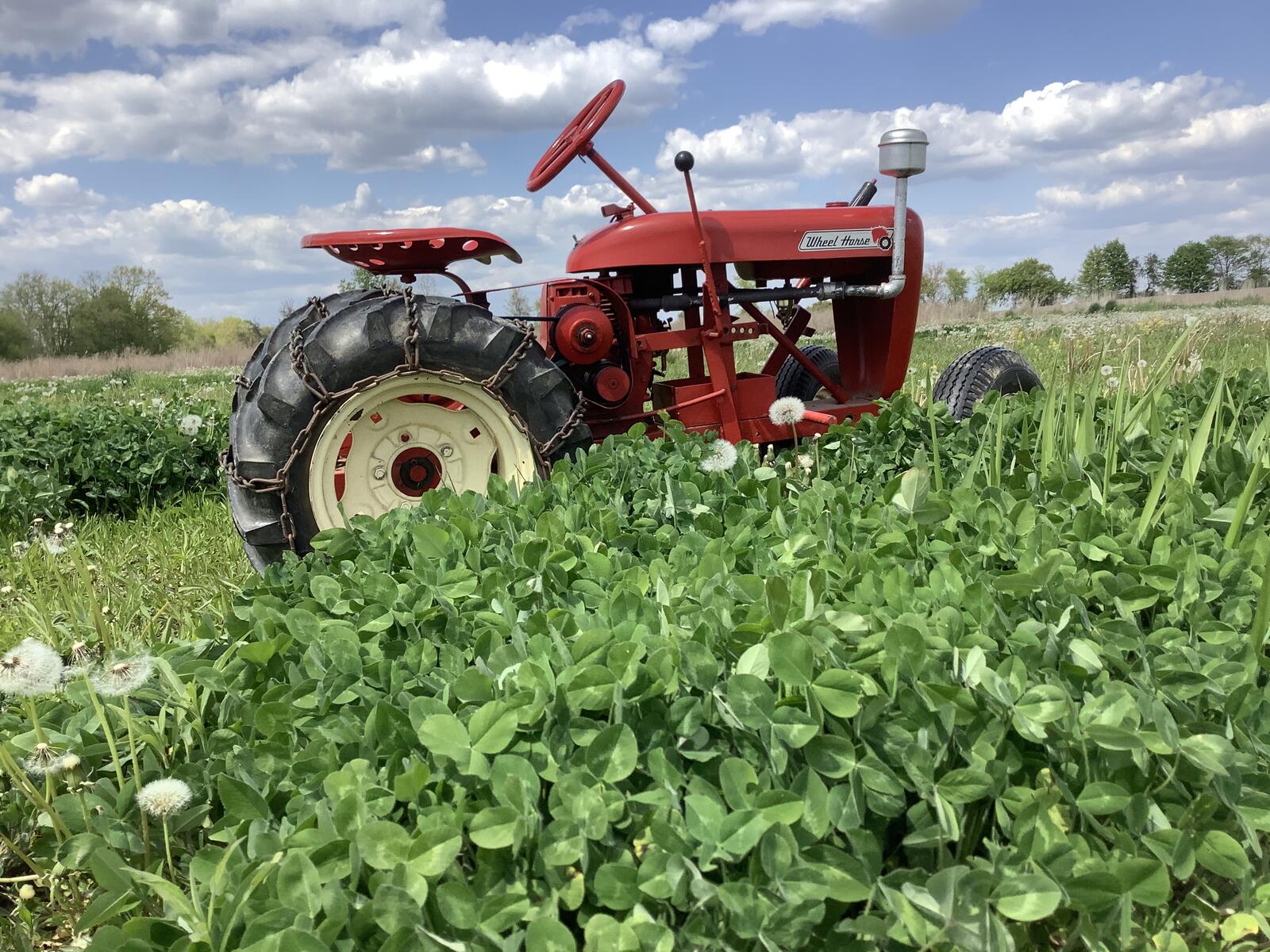 “Out to Pasture”