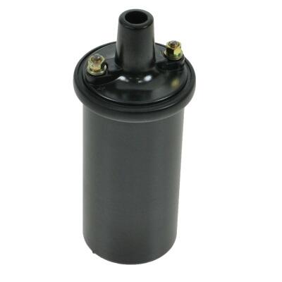 ignition-coil.jpg.ba358a052a43f99cae6956e2cc0b5d70.jpg
