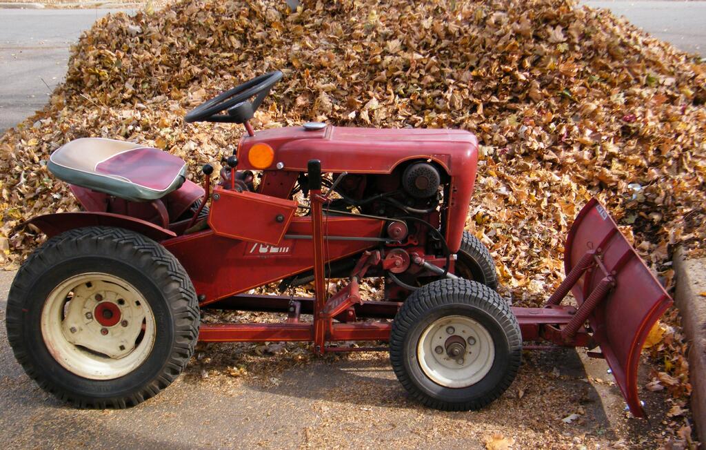 2013_1114leaves0003 (2).jpg