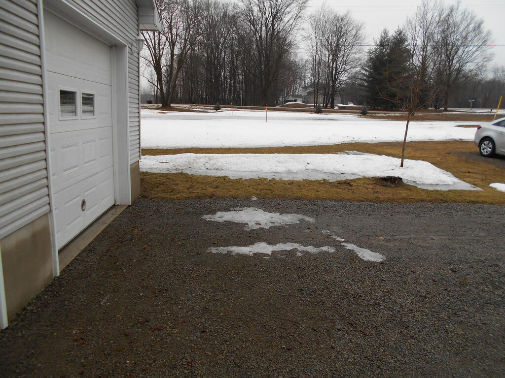 1299628126_Snowmeltinginyard2.JPG.20a66623d871f5ad31e1e30afb70208e.JPG