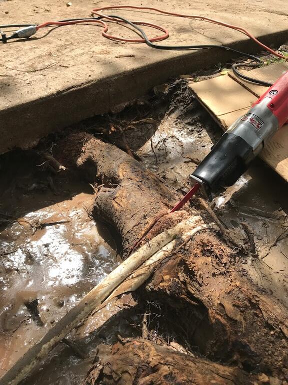 913863906_treerootwonplumbing.JPG.91f6f8437c222b832aed244bdf6ca0f4.JPG