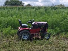IMG_20230731_123516331.jpg