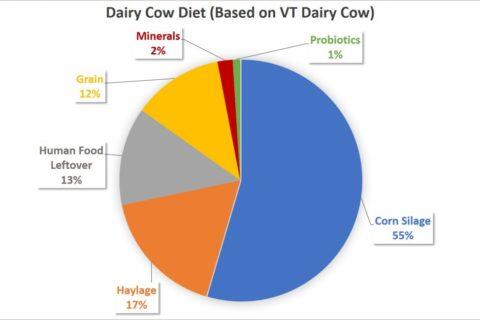 DairyCowDiet.jpg.31c6fa85acf2420bf2638e7ee55e0465.jpg