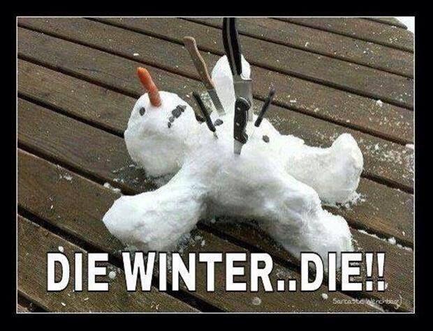 Die-Winter.jpg.20cb2930de09b0fdd3215c6ab358d9f0.jpg