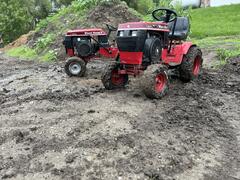 Horses playing in the mud