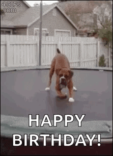 trampoline-play.gif.fdc1751c0b42e1fd430fd64fc7316e59.gif