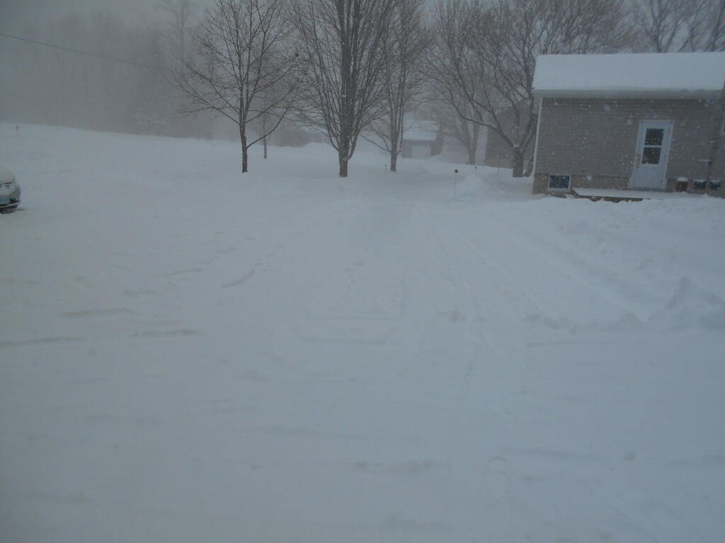 2068731139_Jan152026snowfall4.JPG.090ac6cceb76a02eeb941f4366baf971.JPG