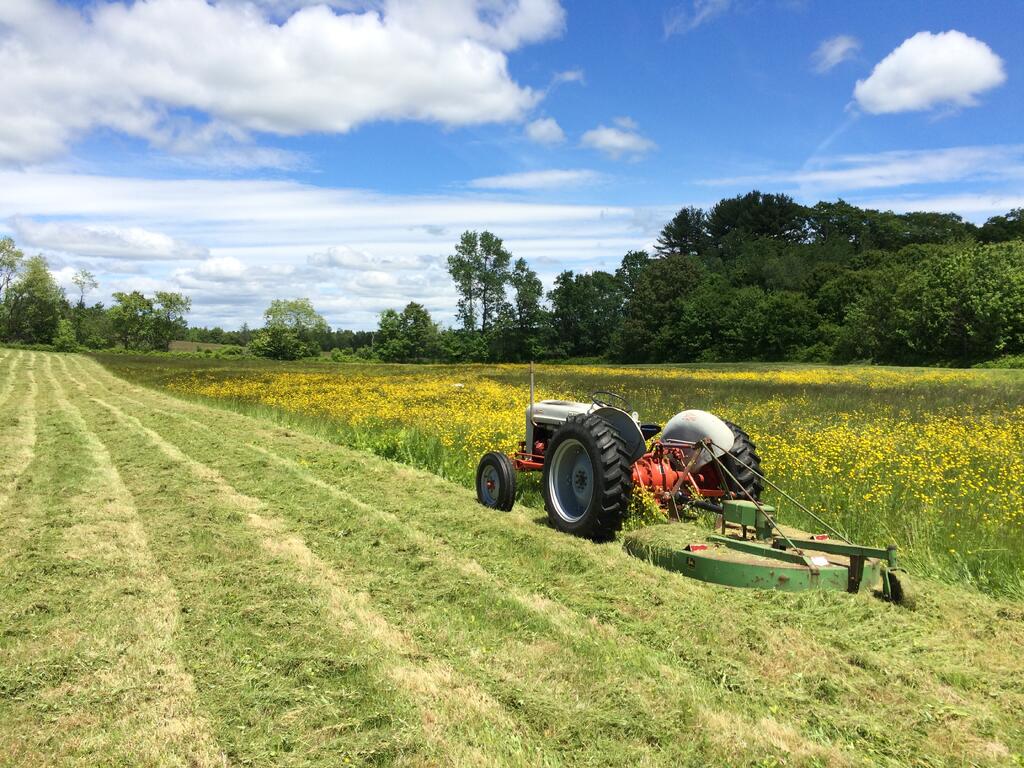 mowing_front-field.jpg.2b9daeda21ba4b1969c0475989a8d299.jpg