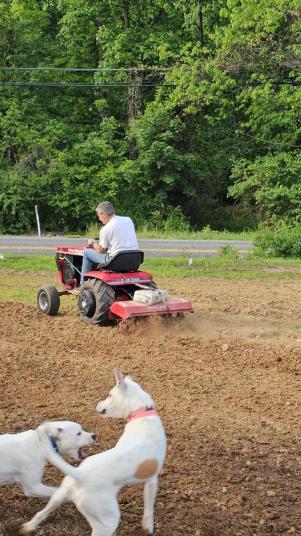 20260515_173121.jpg.024a850f09cbe24479435f851c078123.jpg