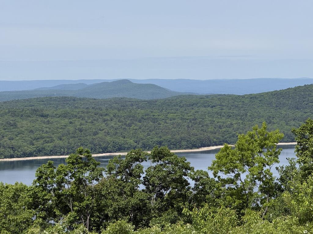 IMG_7354.jpeg