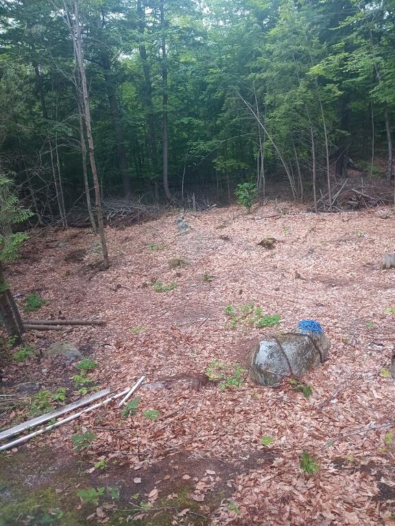 20260620_055833.jpg.c2480ff52f05cd08a42f9b9250b015a6.jpg