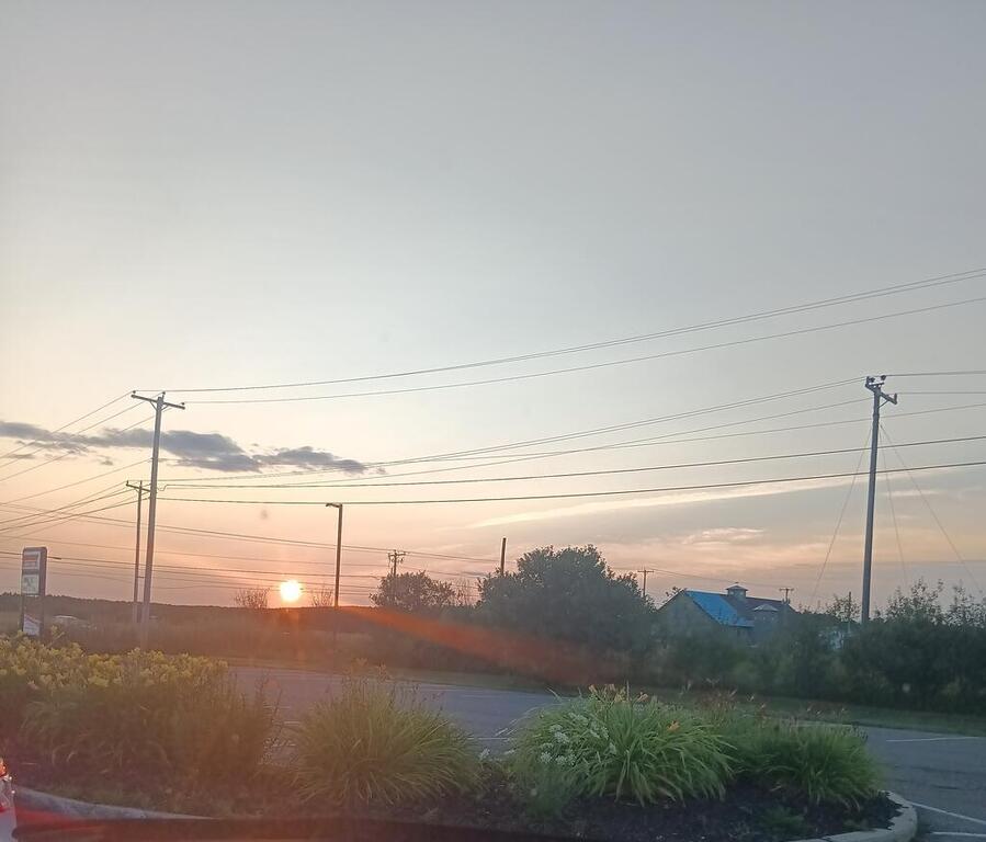 1913879571_20260723_0536482.thumb.jpg.fbdbc8e7a62c2cf34e62f2ead37041a6.jpg