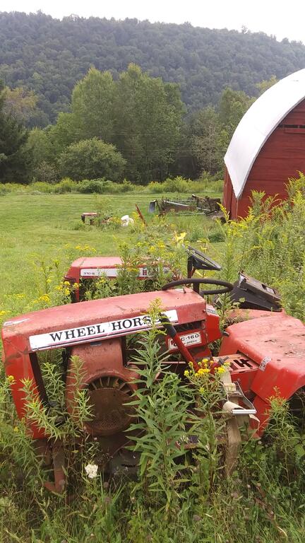 20260827_112054_HDR.jpg